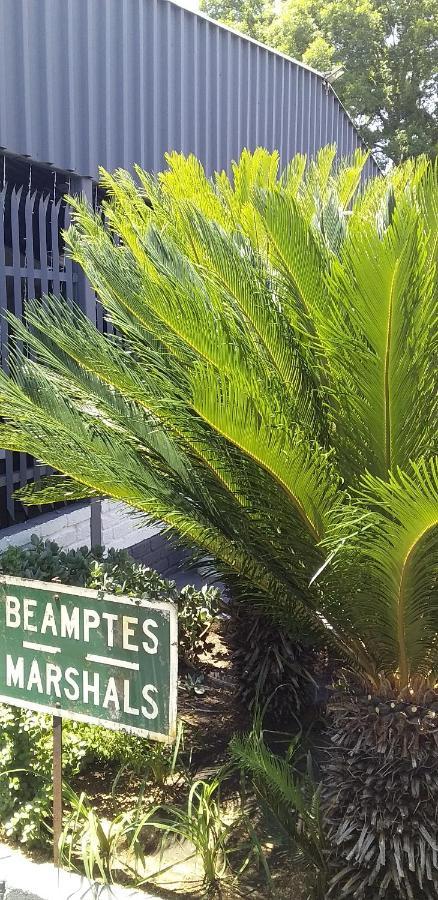 B&B 464 On 22Nd Ave Pretoria Bagian luar foto